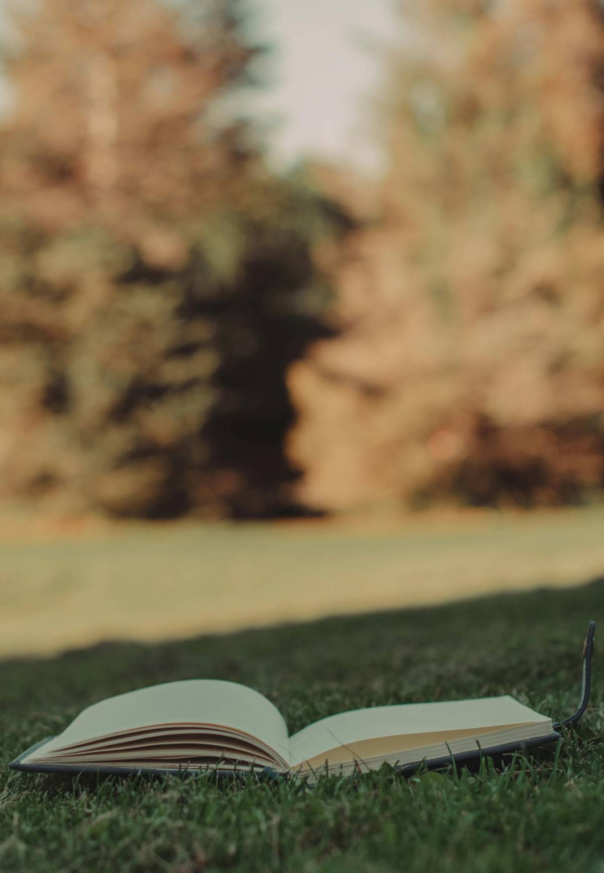 Readings at the Gstaaderhof - Hotel Gstaaderhof