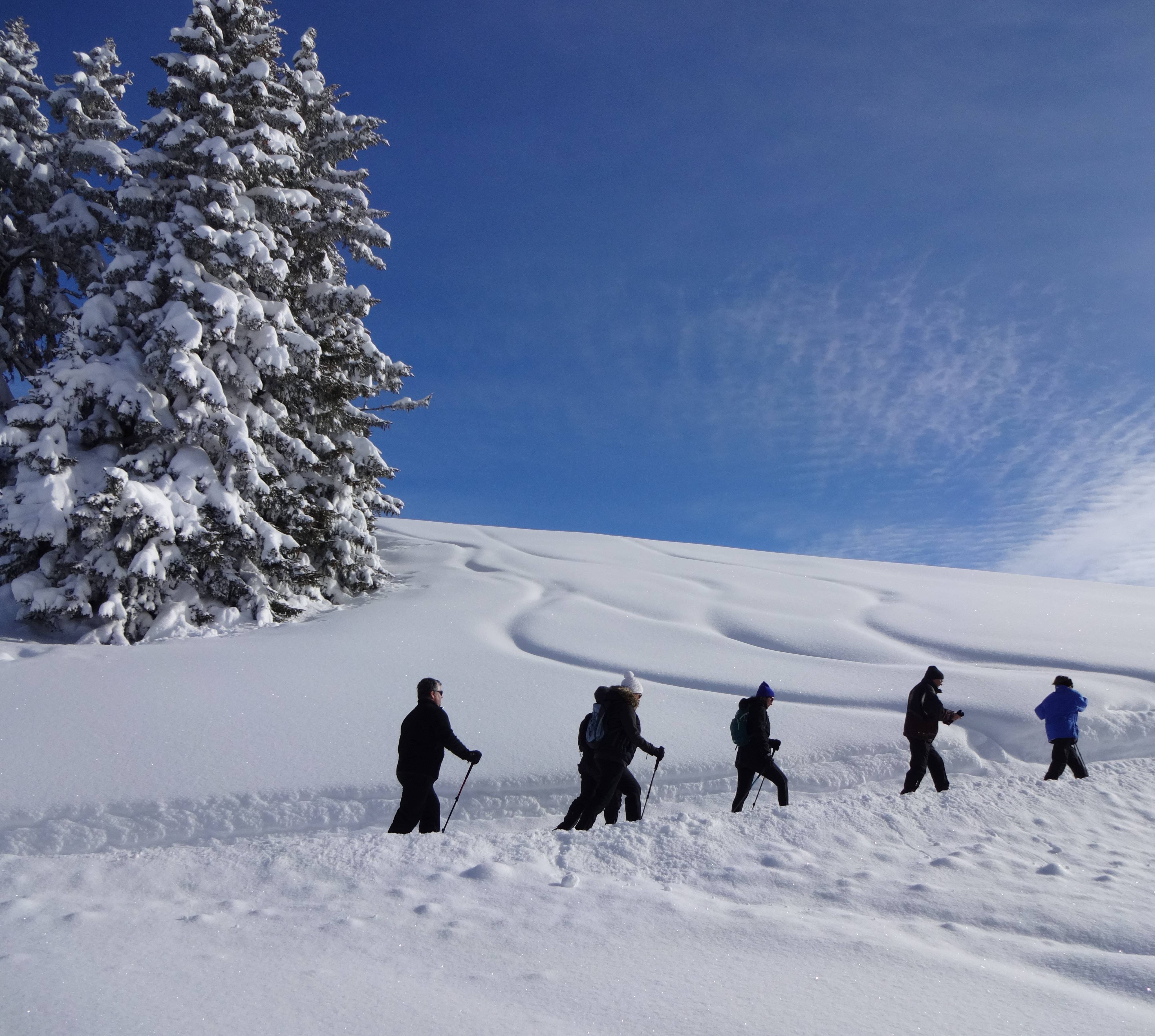 Winterwanderwochen - Hotel Gstaaderhof