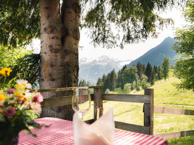 Aussicht auf der Terasse in der Flüemadhütte