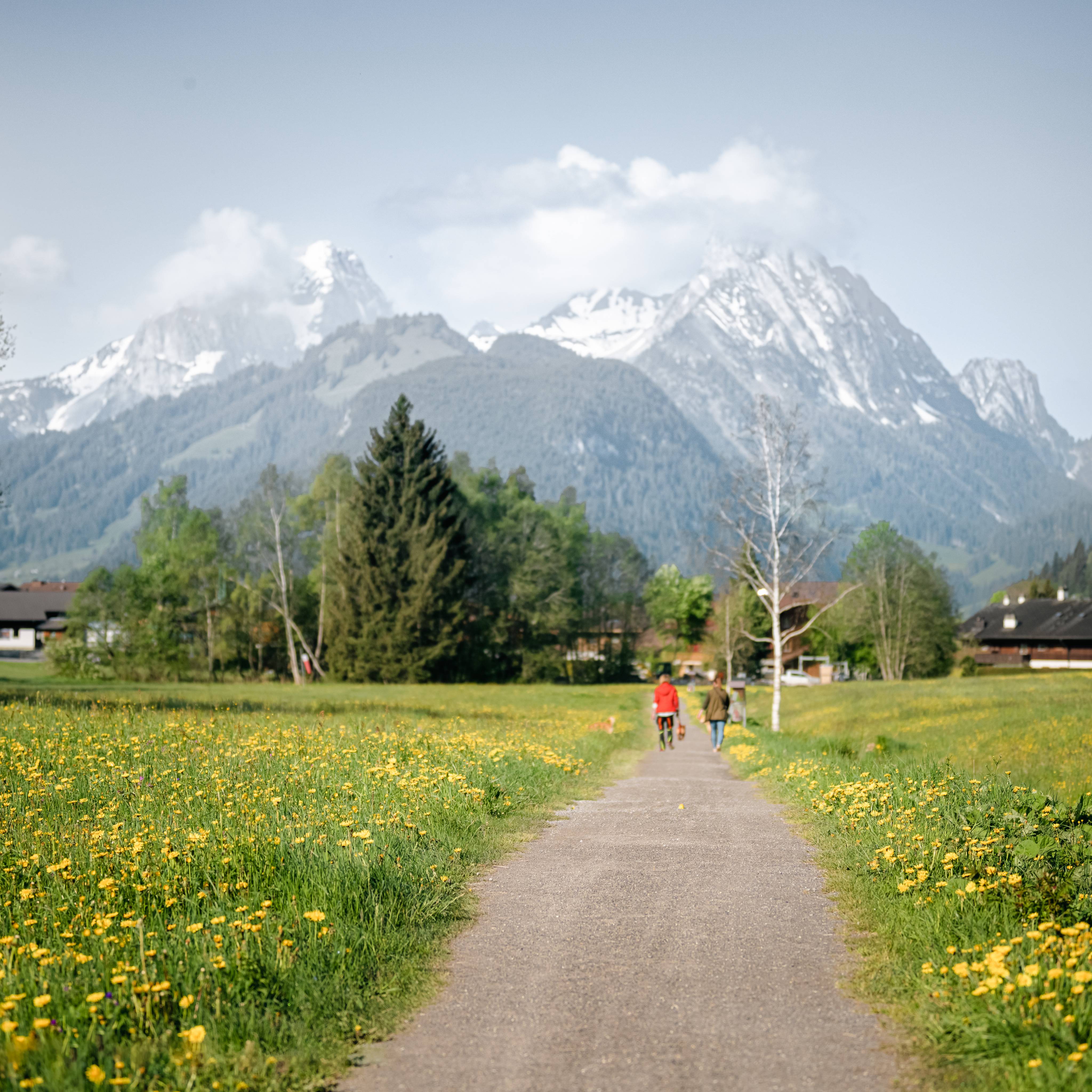 Aktivferien mit Gedächnistraining - Hotel Gstaaderhof