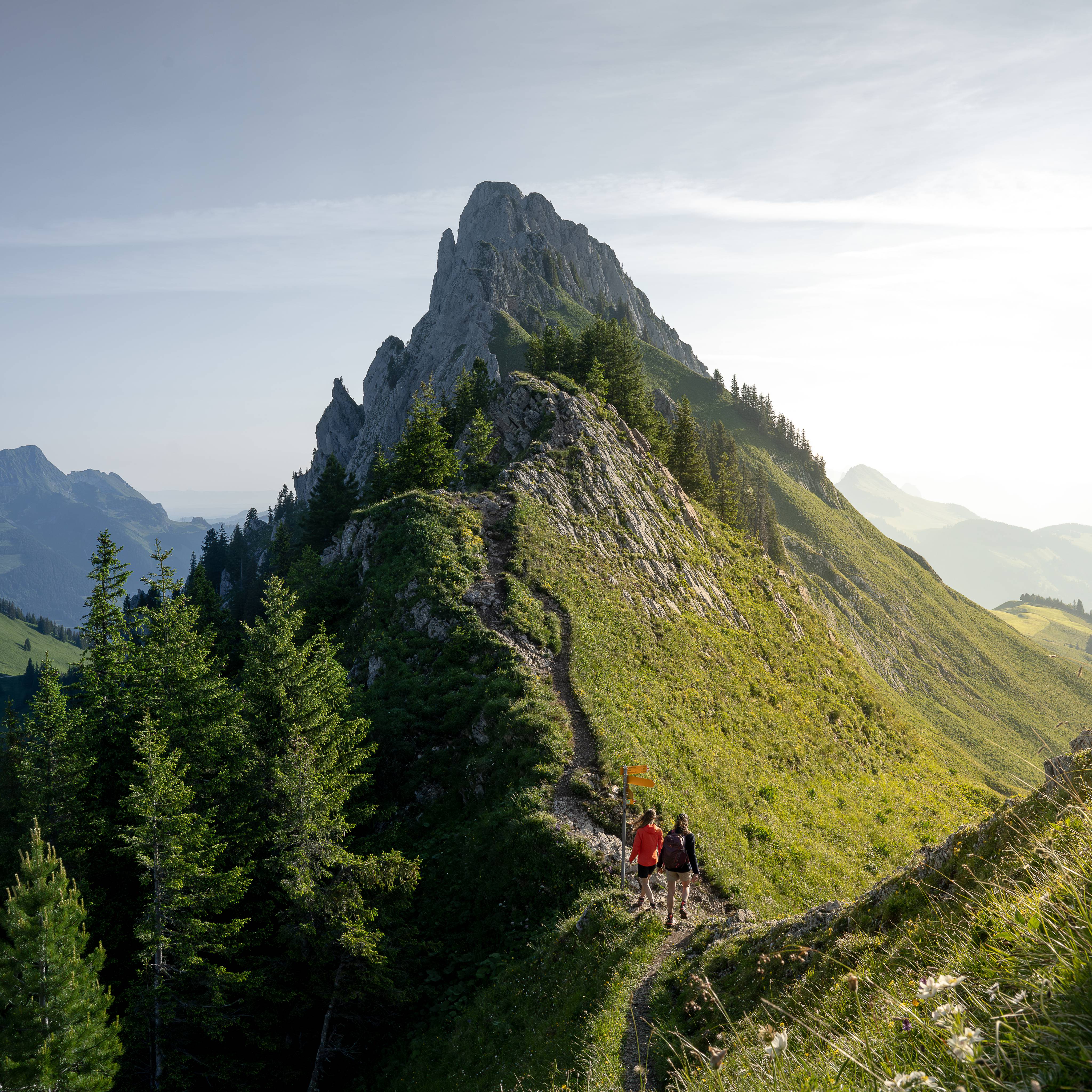 Wanderwochen - Hotel Gstaaderhof