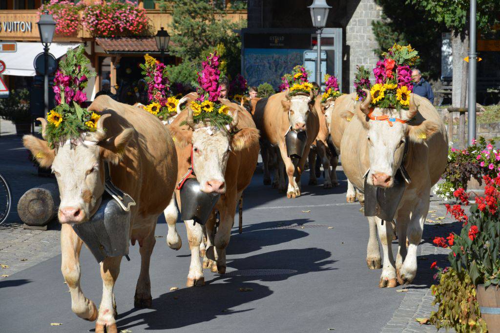 Des événements dans le style du passé: Tradition & Coutumes - Hotel Gstaaderhof