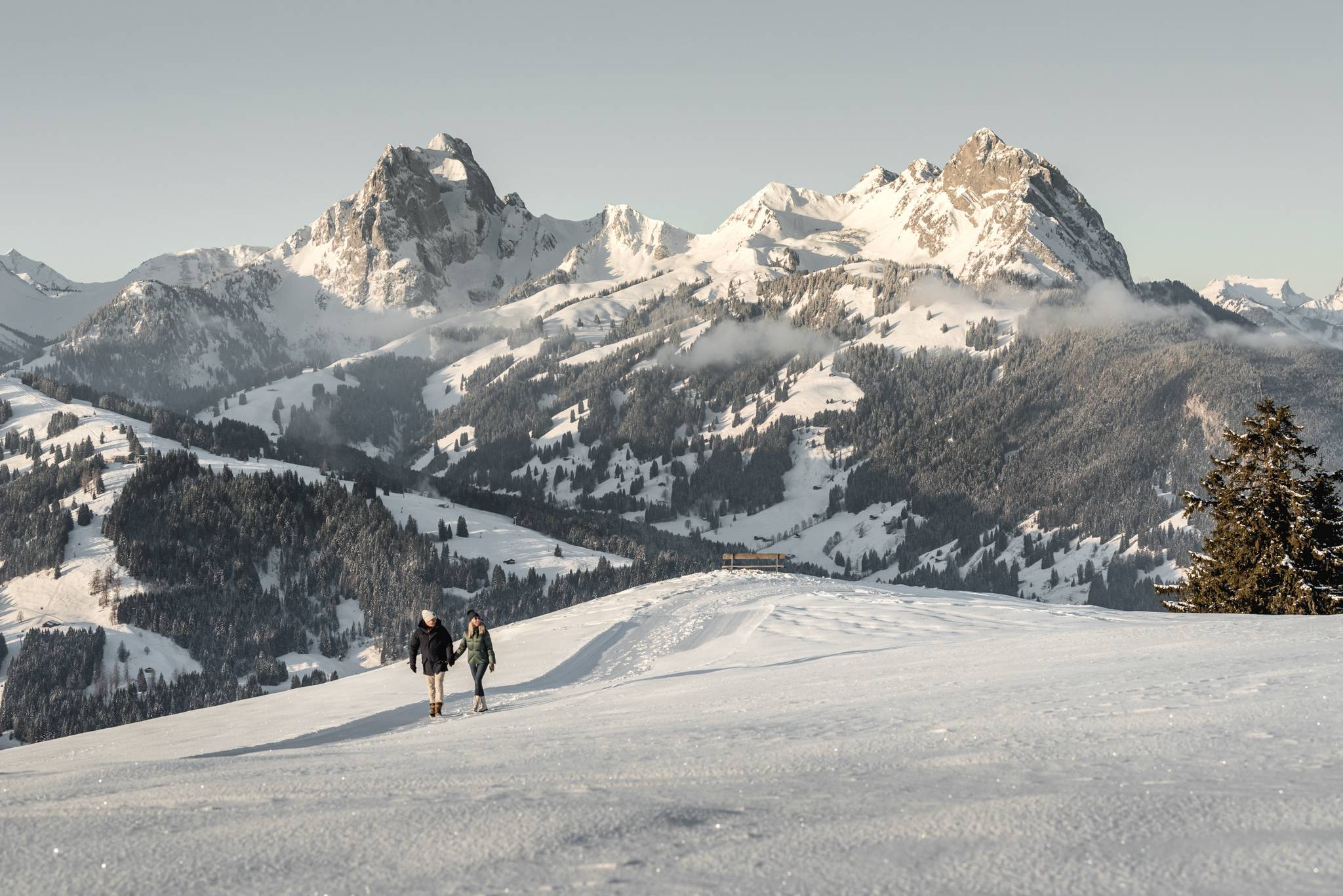Au paradis de la randonnée hivernale de Gstaad: Randonnées hivernales en montagne et en vallée - et sur le glacier - Hotel Gstaaderhof