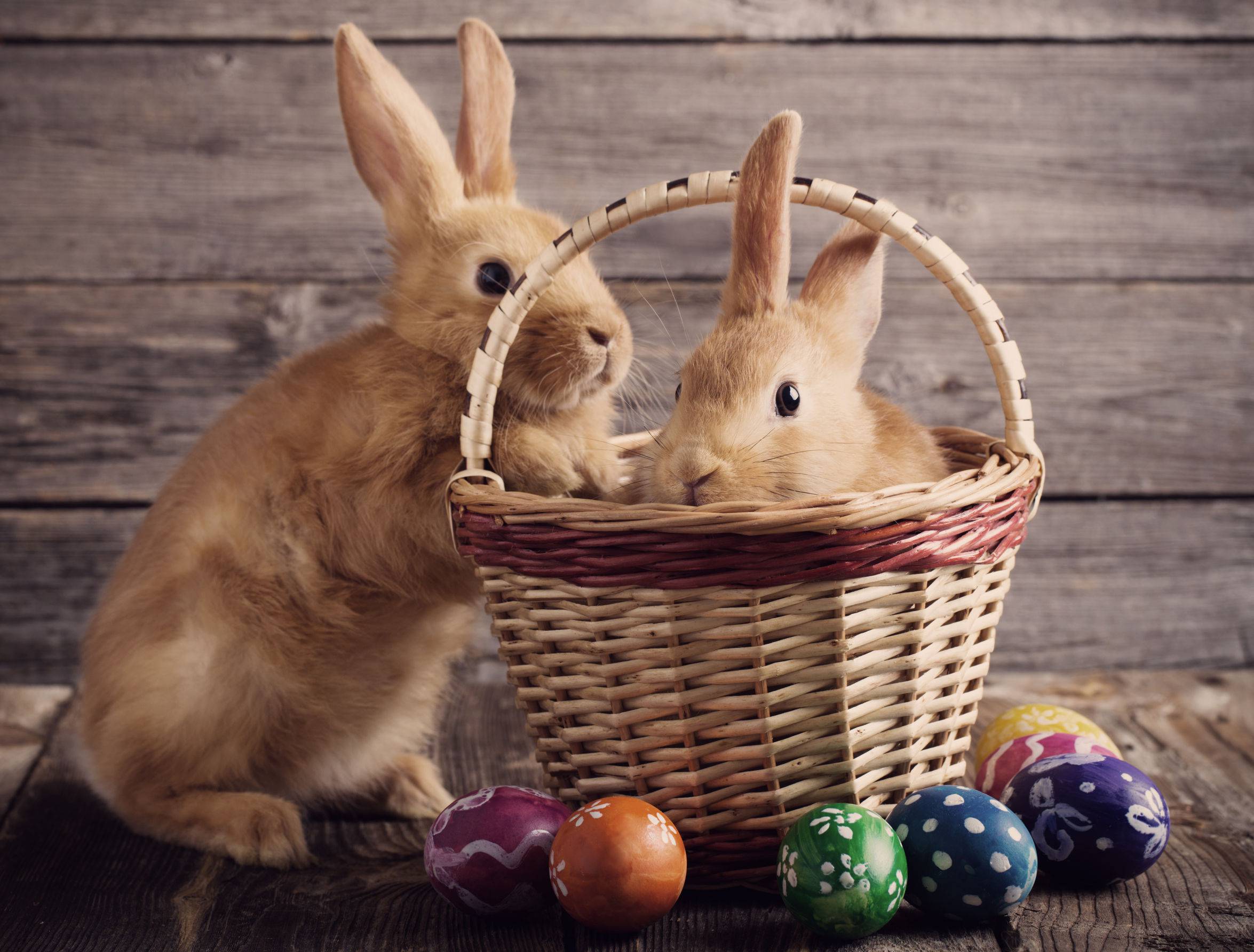 Ostern in Gstaad - Hotel Gstaaderhof