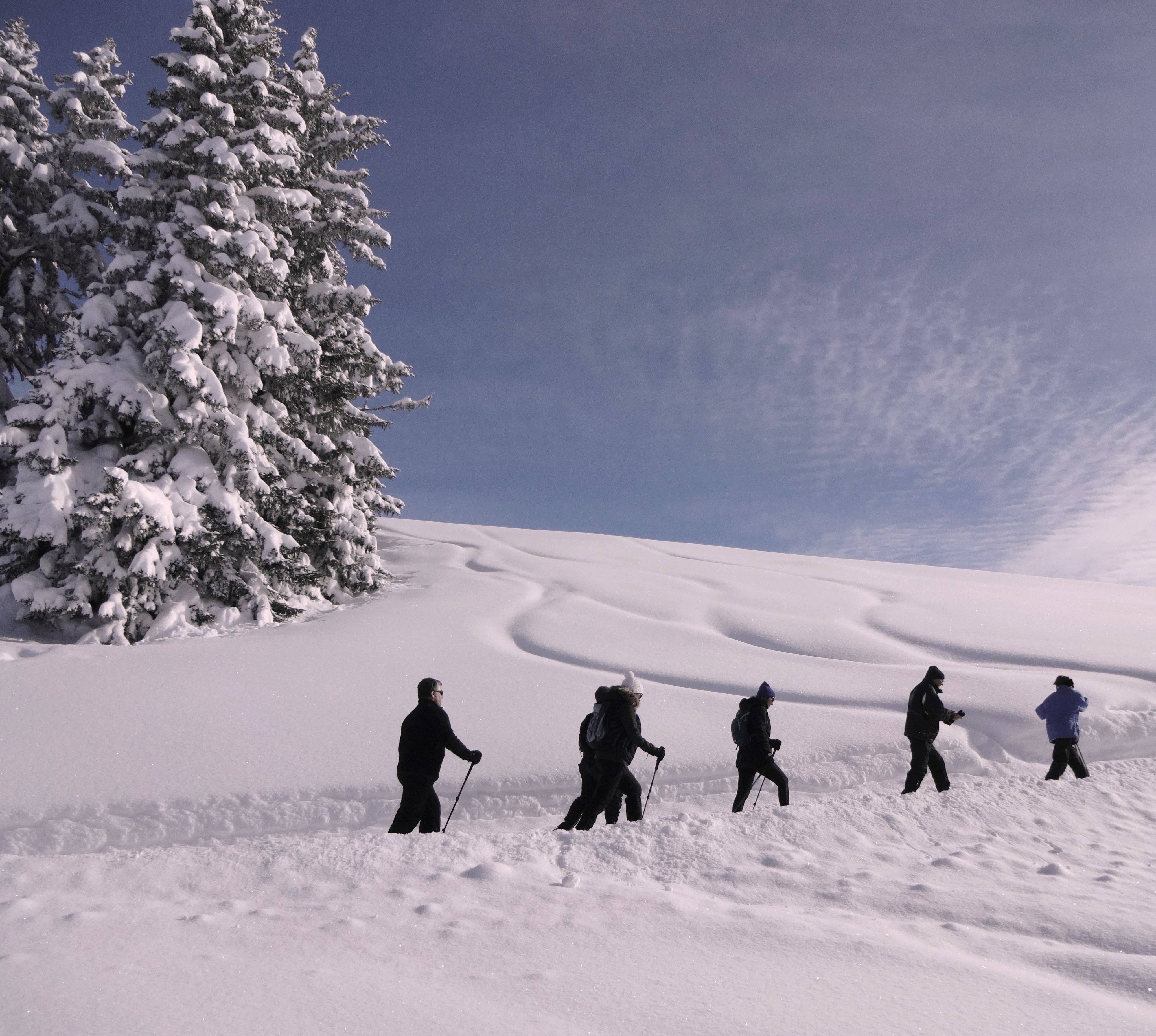 Winter hiking weeks - Hotel Gstaaderhof