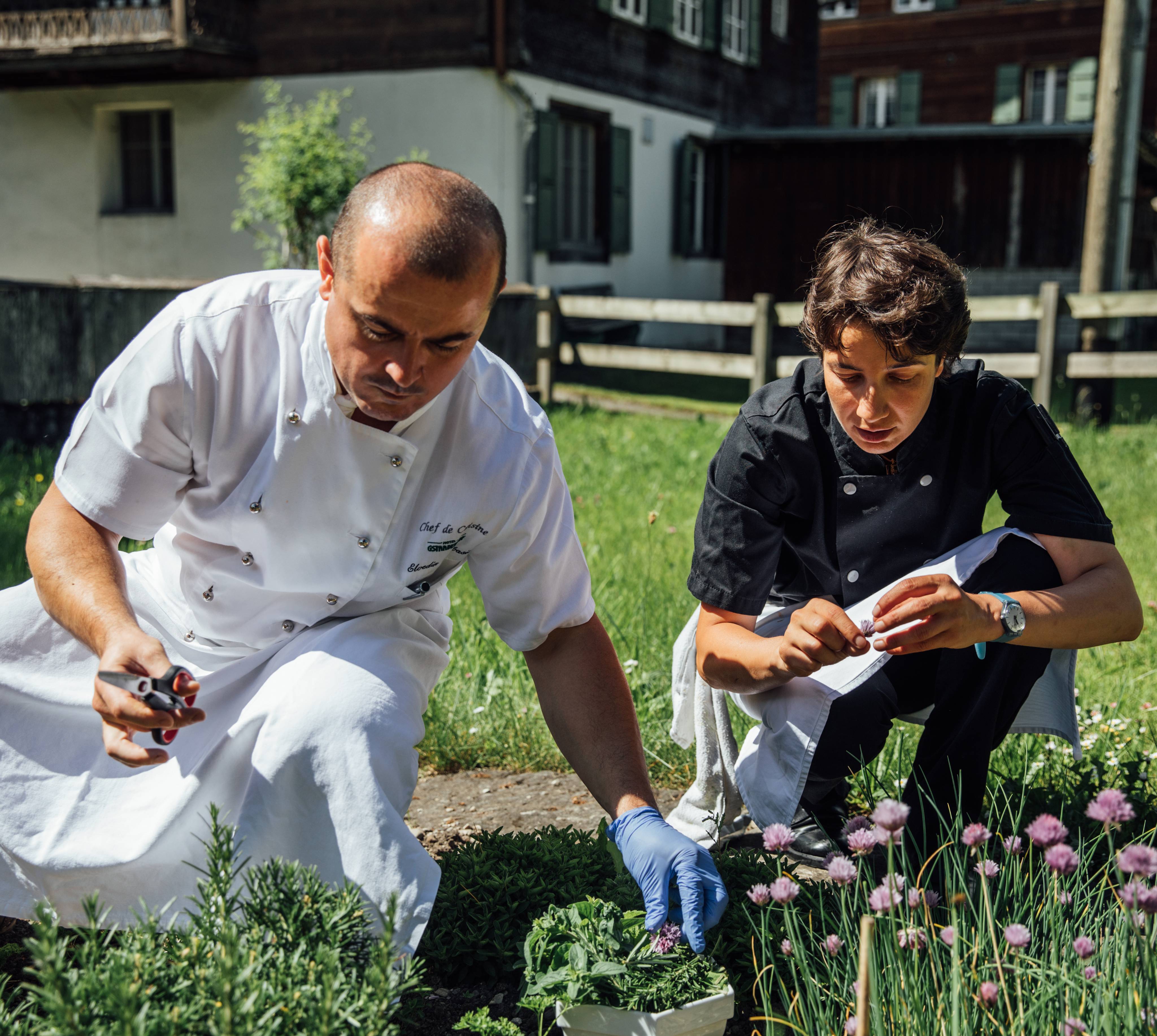 Respect for nature: Kitchen philosophy - Hotel Gstaaderhof
