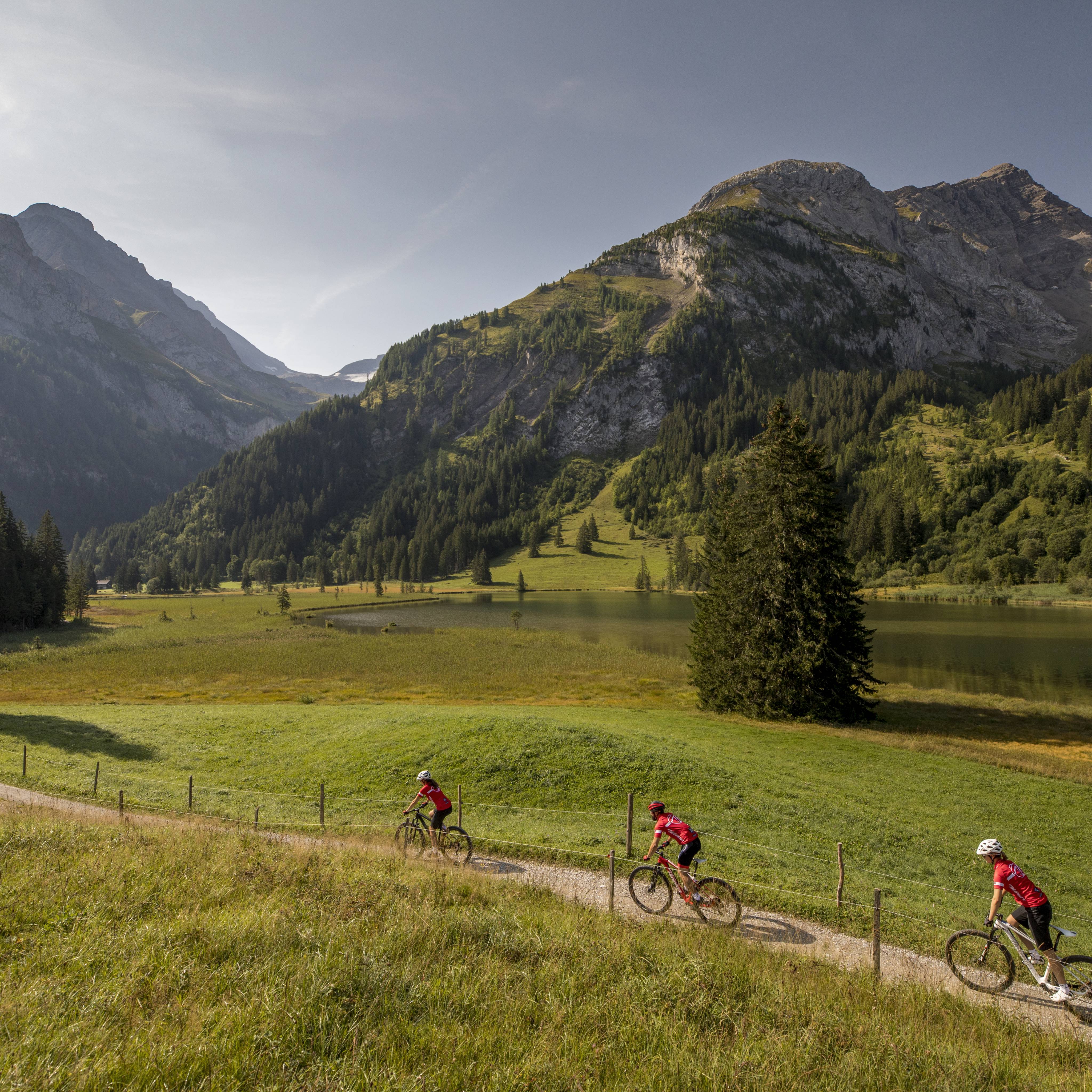 Mountainbiken in Gstaad