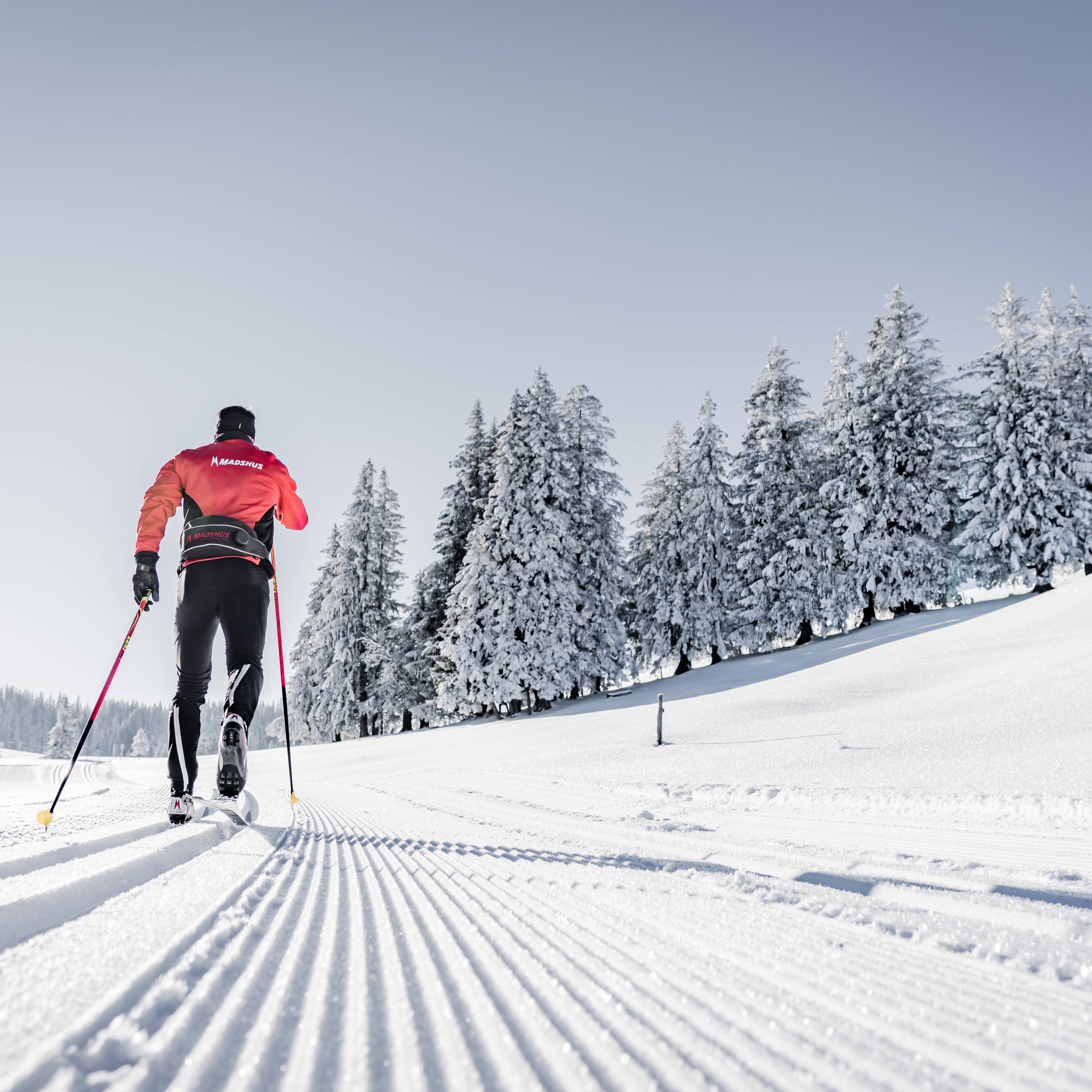 Dreamlike beauty: Cross-country skiing in the Bernese Oberland - Hotel Gstaaderhof
