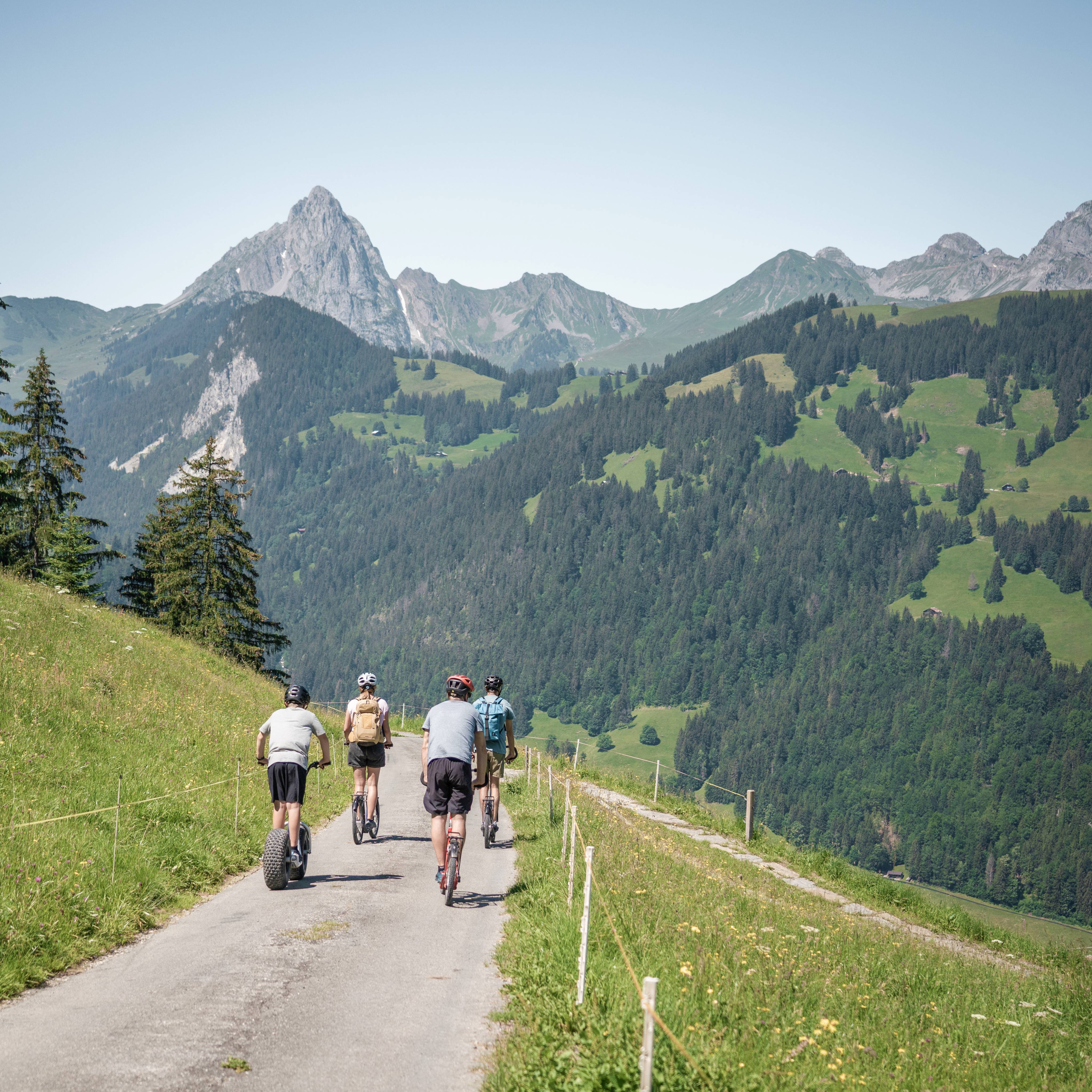 Ausflug mit Fahrzeugen durch Gstaad