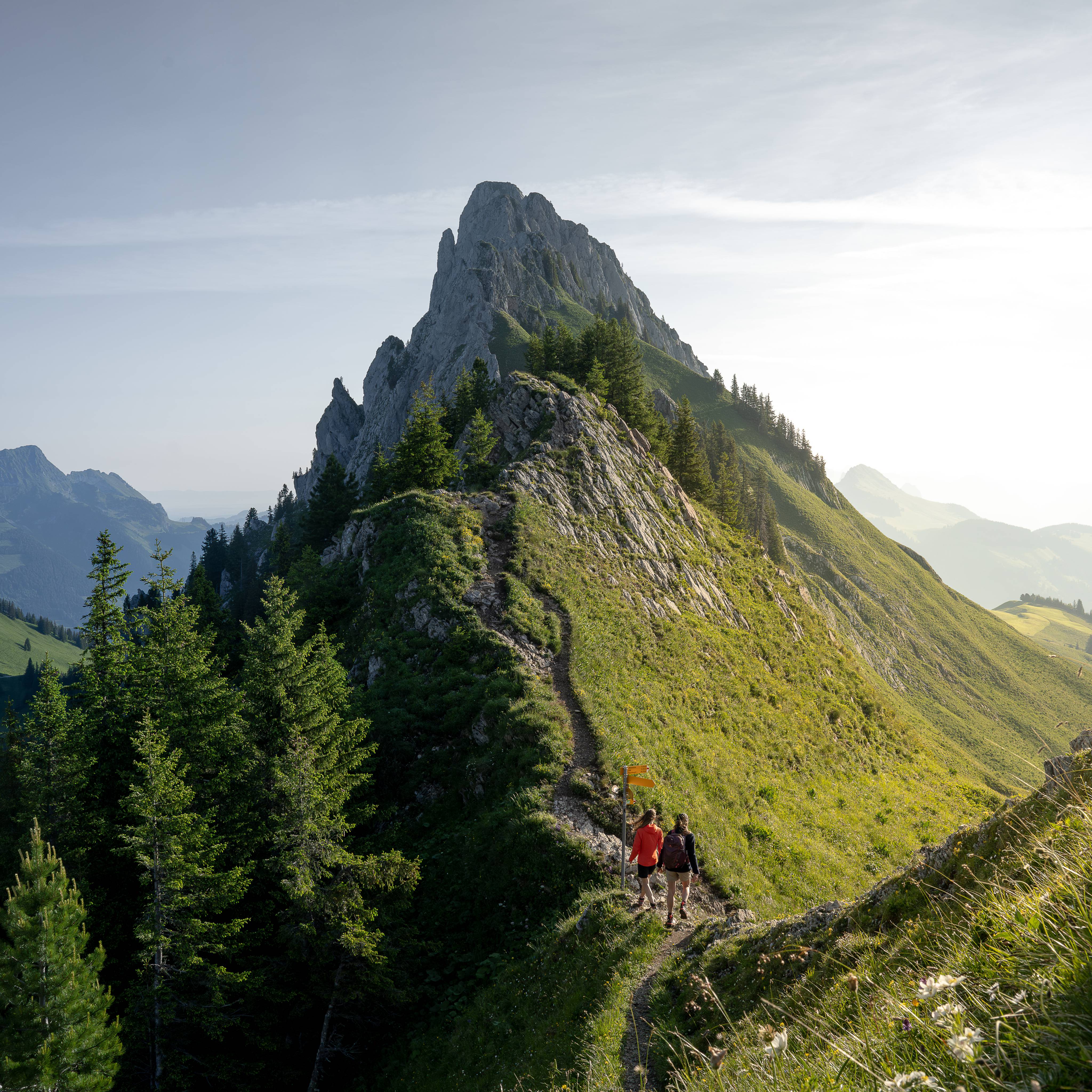 Semaines de randonnées - Hotel Gstaaderhof